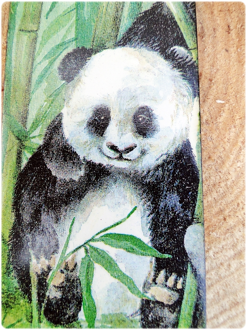 Zakładka do książki Panda 4