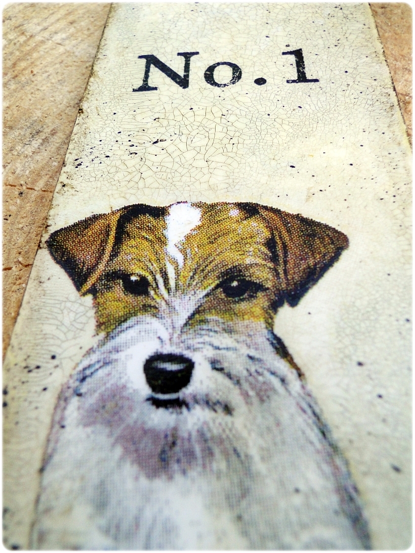 Zakładka do książki Jack Russell Terrier 3
